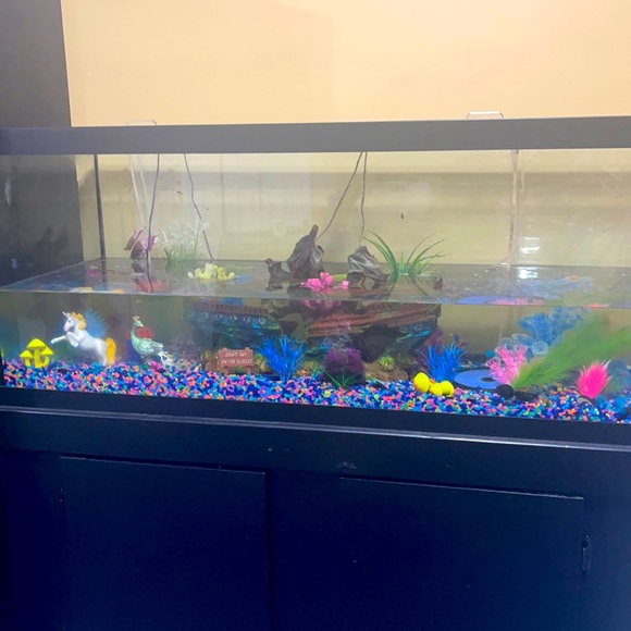 Fish tank